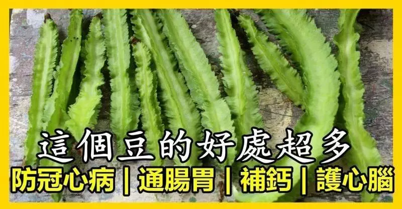 這個豆的好處超多,可惜好多人不知道!!!