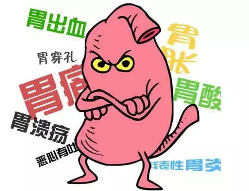 幽門螺桿菌最怕5種食物,每天堅持吃一點,修復胃粘膜,胃一天比一天好