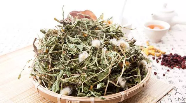 幽門螺桿菌最怕5種食物,每天堅持吃一點,修復胃粘膜,胃一天比一天好