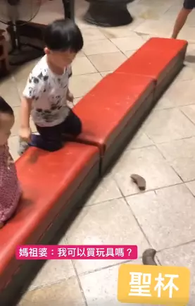 2歲小弟弟「擲筊用奶音」無釐頭問媽祖一句話!讓北港媽祖婆顯神蹟「秒聖杯答應」!媽媽當場超傻眼哀號「唉唷」!