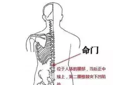 身體有濕氣的,1個動作,每天5分鐘,疏通全身經絡,拉通膀胱經,濕氣全排空