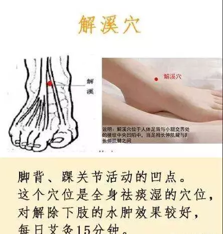 身體有濕氣的,1個動作,每天5分鐘,疏通全身經絡,拉通膀胱經,濕氣全排空