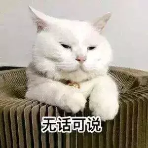 8個密封箱子路邊放了四個月沒人動,打開一看警察都嚇著了!