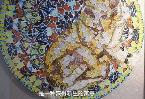 藝術系女學生為畢製「摘活蝴蝶翅膀」 驕傲秀「500隻翅膀拼貼畫」她:這代表「重生」