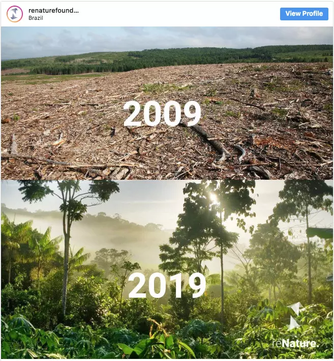 20張讓你想哭的「地球還有希望」世界綠化照 為了一棵小樹馬路變成U字型