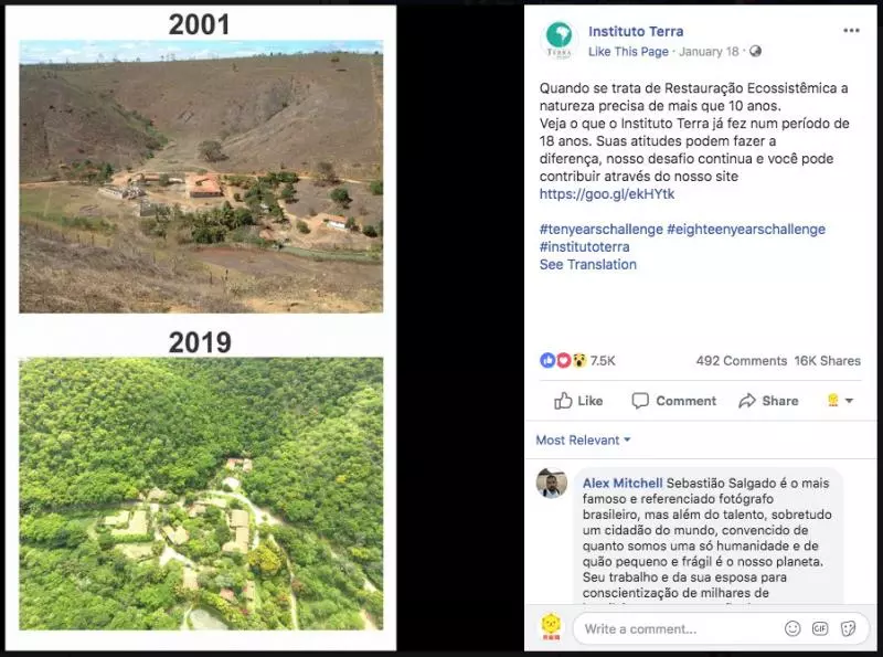 20張讓你想哭的「地球還有希望」世界綠化照 為了一棵小樹馬路變成U字型