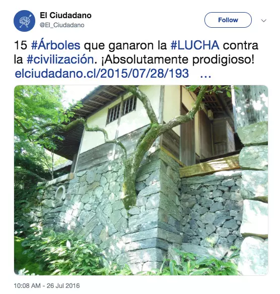 20張讓你想哭的「地球還有希望」世界綠化照 為了一棵小樹馬路變成U字型