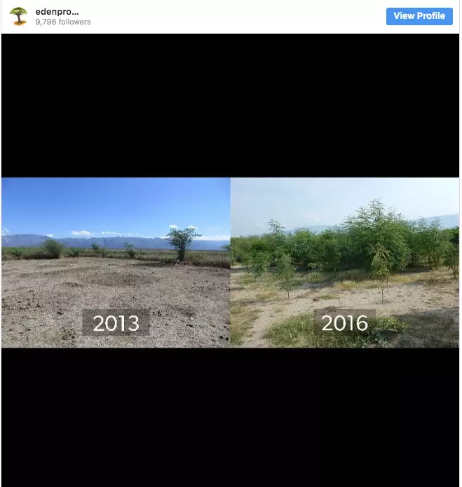 20張讓你想哭的「地球還有希望」世界綠化照 為了一棵小樹馬路變成U字型
