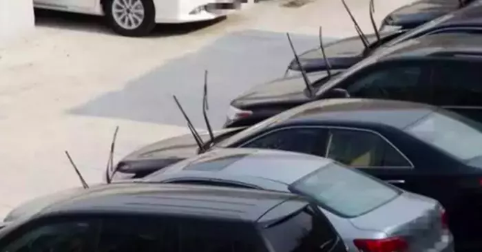 90%的人不知道,路邊車子為何都把雨刷「立起來」? 後悔現在才知道!
