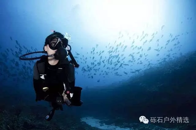 男子潛入海底尋寶頭上卻出現紅色異物,朋友們看清後拔腿就跑!