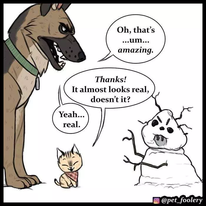 有大哥罩就是這種感覺? 超寵「軍犬與小家貓」讓網友甜到掉牙❤