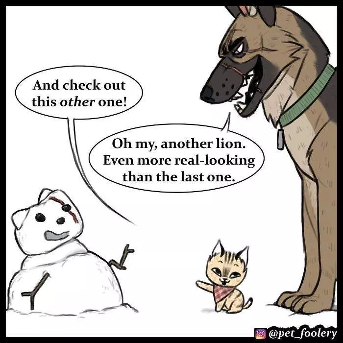 有大哥罩就是這種感覺? 超寵「軍犬與小家貓」讓網友甜到掉牙❤