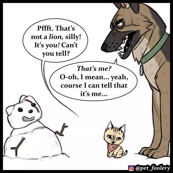 有大哥罩就是這種感覺? 超寵「軍犬與小家貓」讓網友甜到掉牙❤