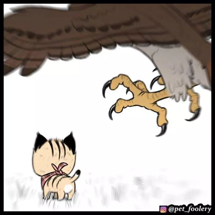 有大哥罩就是這種感覺? 超寵「軍犬與小家貓」讓網友甜到掉牙❤
