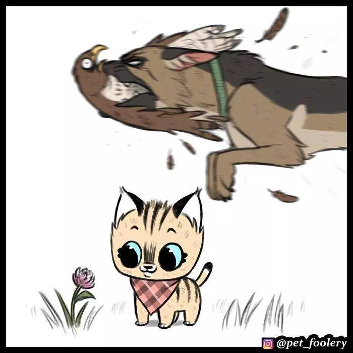 有大哥罩就是這種感覺? 超寵「軍犬與小家貓」讓網友甜到掉牙❤