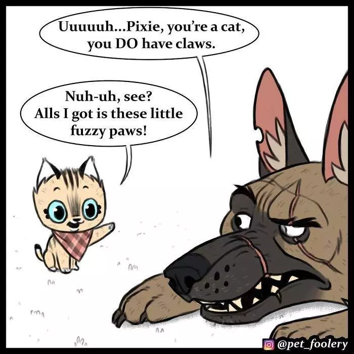有大哥罩就是這種感覺? 超寵「軍犬與小家貓」讓網友甜到掉牙❤
