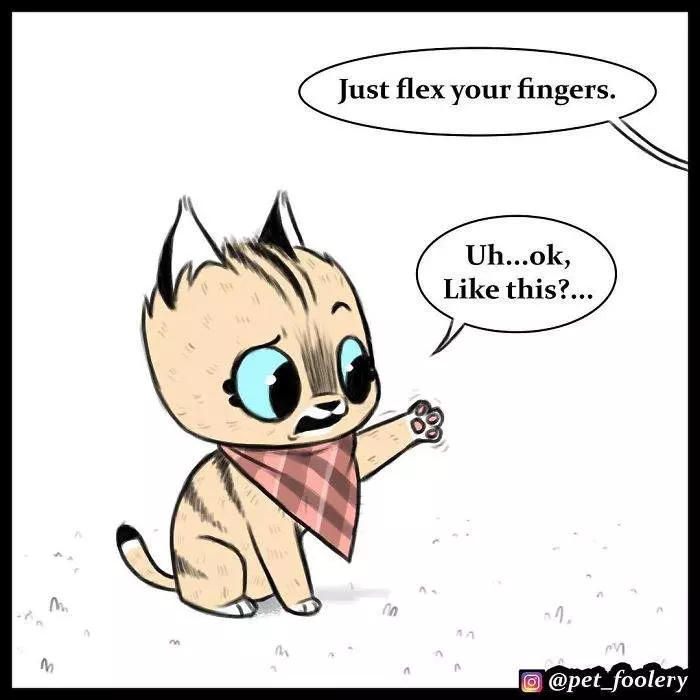 有大哥罩就是這種感覺? 超寵「軍犬與小家貓」讓網友甜到掉牙❤