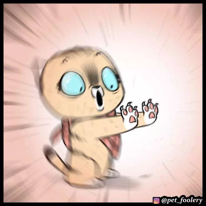 有大哥罩就是這種感覺? 超寵「軍犬與小家貓」讓網友甜到掉牙❤