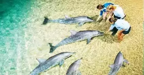 在旅行中最容易犯的十個錯誤,不知道你中槍沒有!