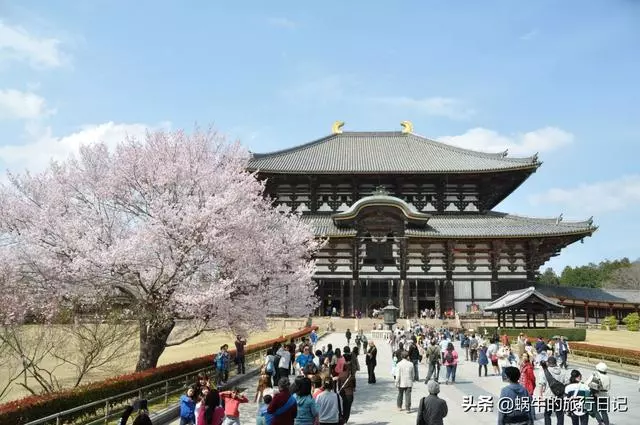 為何去日本旅遊的中國遊客越來越多?這是為什麼呢?