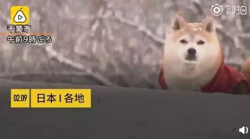 日本開啟大雪模式,北海道氣溫直逼零下30度!
