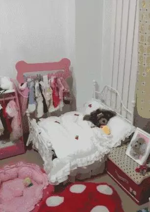 我把狗當孩子養,怎麼了?