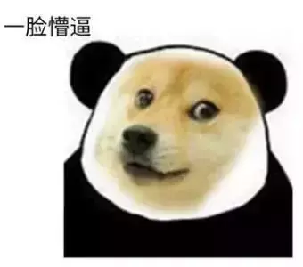 我把狗當孩子養,怎麼了?