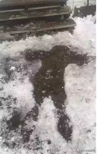 你陪著我的時候,我沒羨慕過任何人