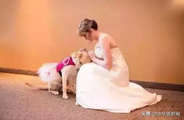 你陪著我的時候,我沒羨慕過任何人