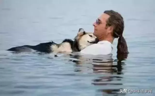 你陪著我的時候,我沒羨慕過任何人
