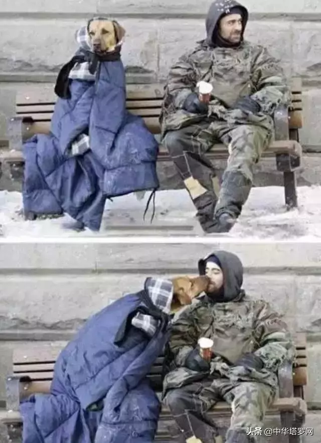 你陪著我的時候,我沒羨慕過任何人