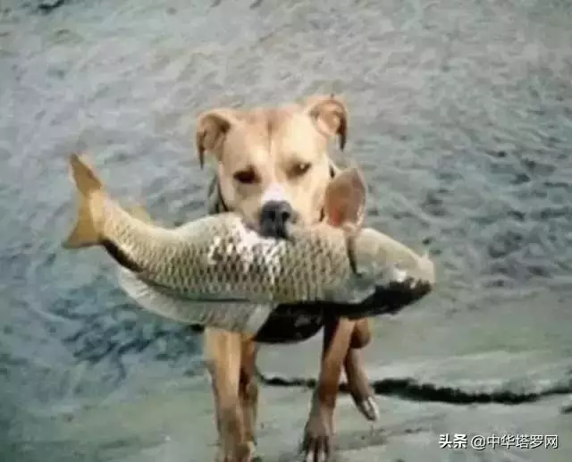 你陪著我的時候,我沒羨慕過任何人