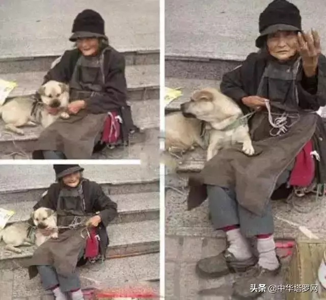 你陪著我的時候,我沒羨慕過任何人
