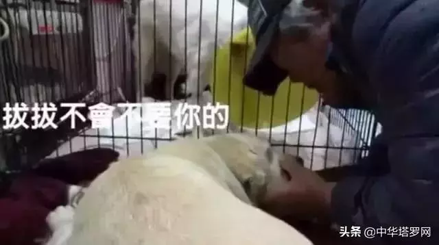 你陪著我的時候,我沒羨慕過任何人