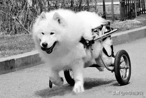 你陪著我的時候,我沒羨慕過任何人