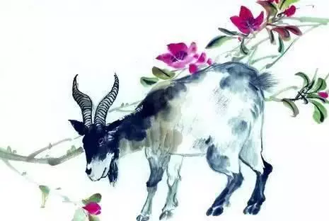 敢不敢看你的屬相天命,凖的可怕