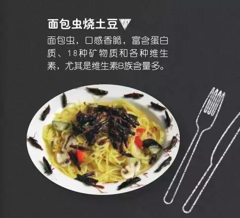 未來食物是昆蟲,你敢吃嗎?