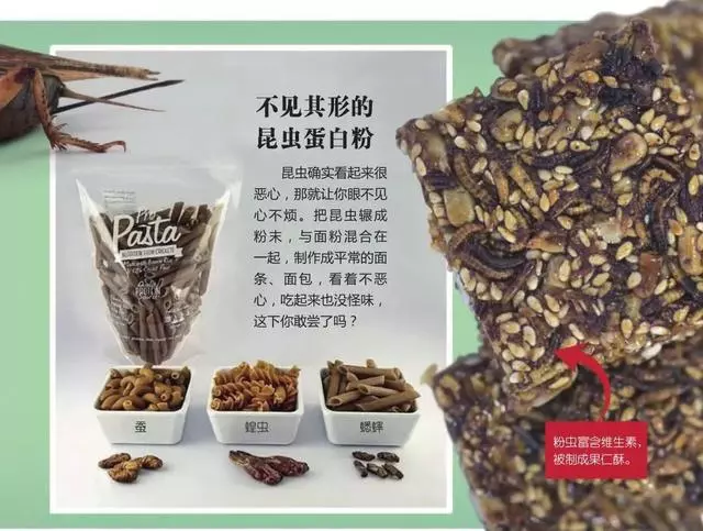 未來食物是昆蟲,你敢吃嗎?