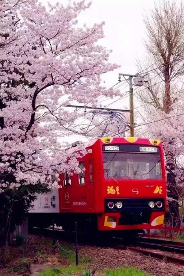 染上旅行癮的17個症狀,你中了幾條?