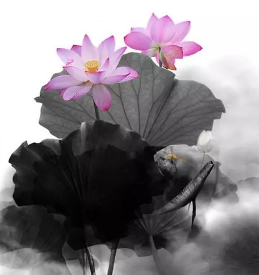 如果你現在沒有錢,可以試試這樣做功德