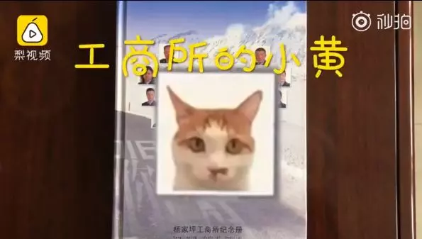 王牌公務員「抓老鼠＋幫民眾調解」　業績超好「編進員工手冊」：想當同事～
