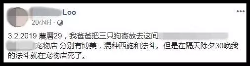 愛犬送去寵物店一天就死了 店主反要將狗主人列入黑名單?!