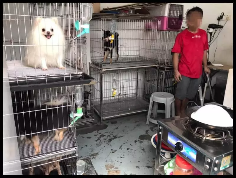 愛犬送去寵物店一天就死了 店主反要將狗主人列入黑名單?!