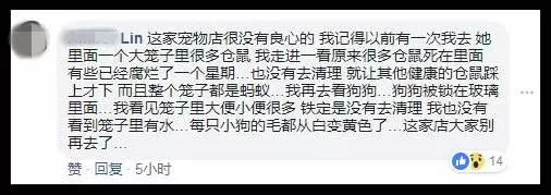愛犬送去寵物店一天就死了 店主反要將狗主人列入黑名單?!