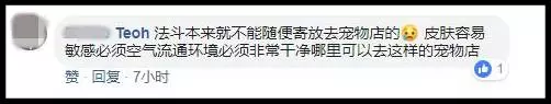 愛犬送去寵物店一天就死了 店主反要將狗主人列入黑名單?!