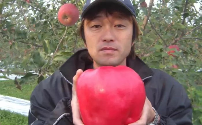 世界上超罕見的10種水果!有些人「一輩子都沒見過」,吃過5種以上稱得上土豪!