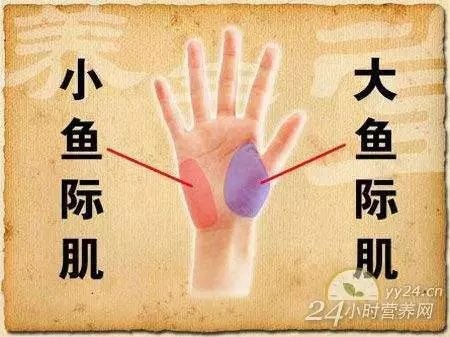 國際中醫針灸師迷羅教你,用一根筷子就能治療肩背疼痛,馬上分享給需要的家人朋友!!