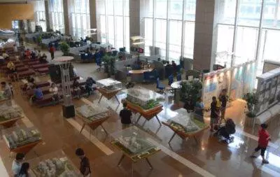 住在新加坡的我月入$6000 卻還是經常遭到老婆抱怨~