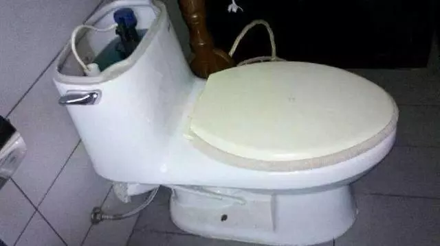 婚後半年,妻子沒有來例假,丈夫起疑,無意掀開馬桶水箱,癱地上