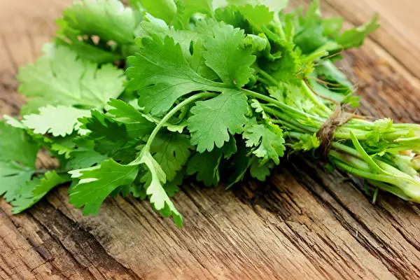 香菜專治健忘金魚腦! 專家曝光「超狂解毒效果」這樣吃最對